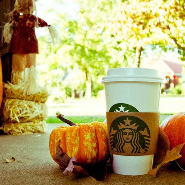 10 Reasons Basic Girls Can Look Forward To Fall