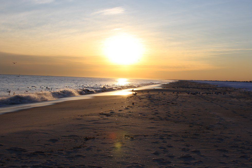 Thank You, Summer 2016