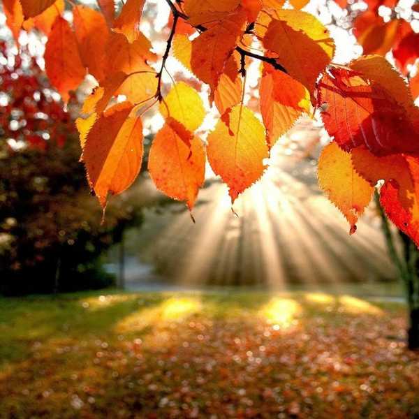 11 Things To Do This Fall