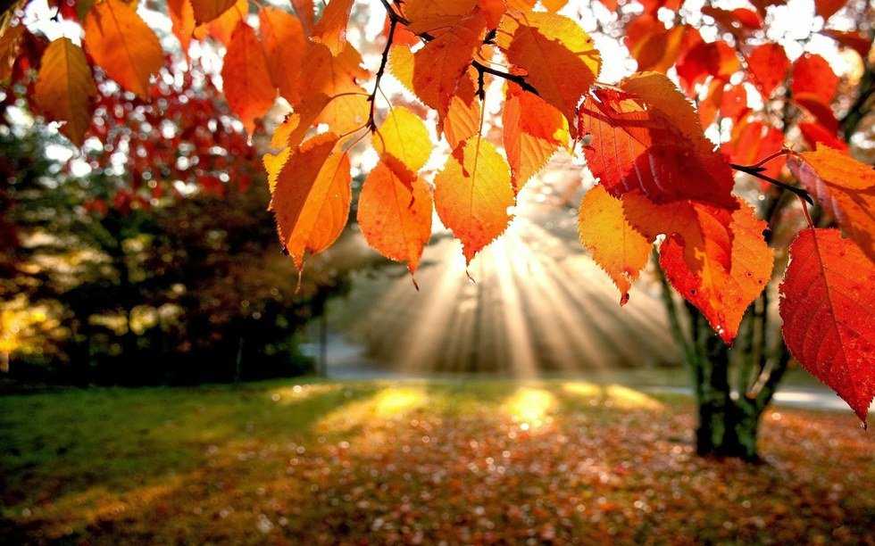 11 Things To Do This Fall