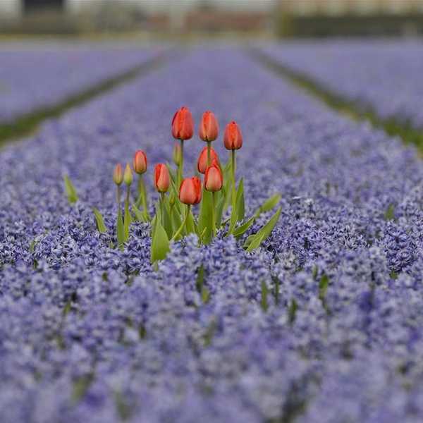 Be Fearlessly Authentic