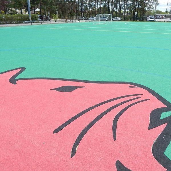 Why I Am Lucky to Be Playing a Sport in College and Why You Should Too