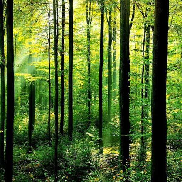 Seven Ways To Be More Eco-Friendly