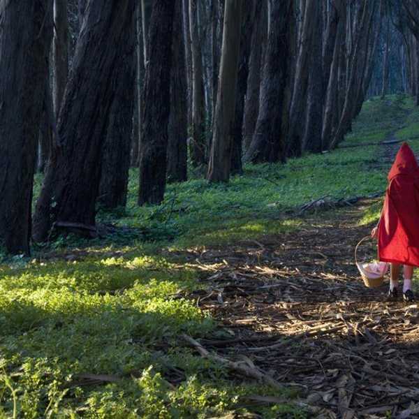 10 Reasons Fairytales Are Essential