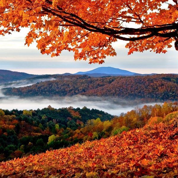 14 Reasons Why Fall Is The Best Time Of Year