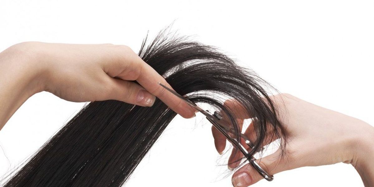 Hair Cut Process The Process Of Getting A Haircut | The Odyssey Online