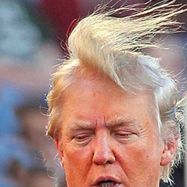 15 Things To Do With Donald Trump's 'Hair'