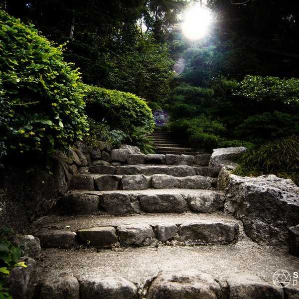 You're Paving Your Own Path