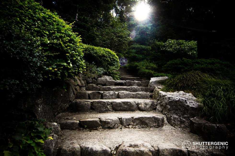 You're Paving Your Own Path