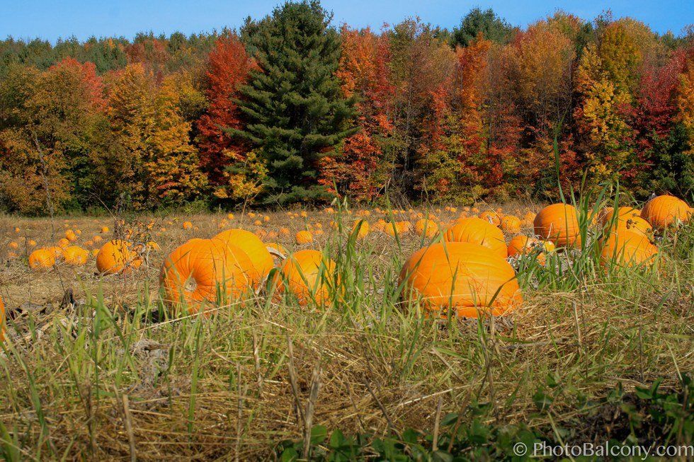7 Reasons I’m Excited For Fall