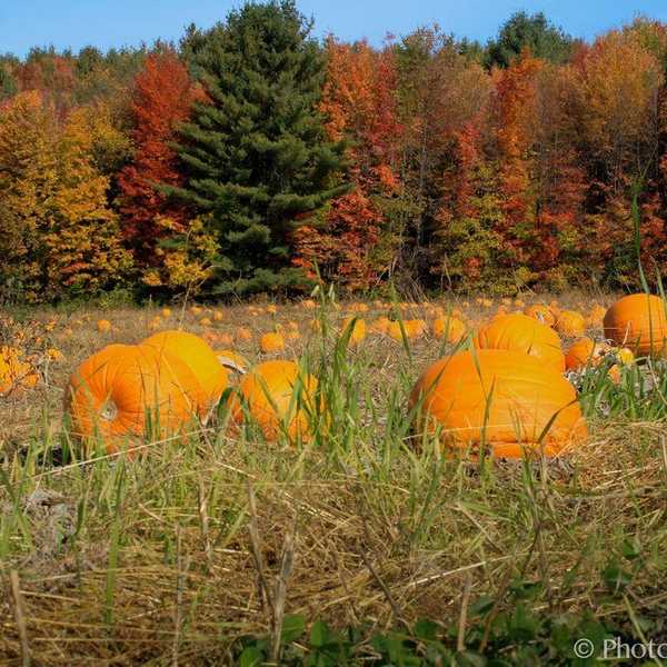 7 Reasons I’m Excited For Fall