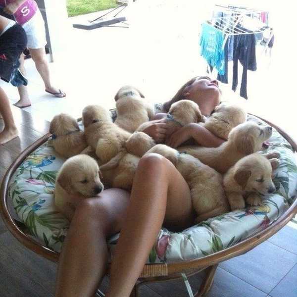 11 Ways to know you are a crazy, dedicated, dog lover