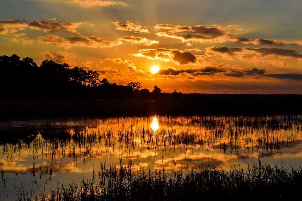 A Love Letter To Beaufort, SC