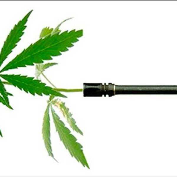 Has The War On Drugs Reached A Breaking Point?