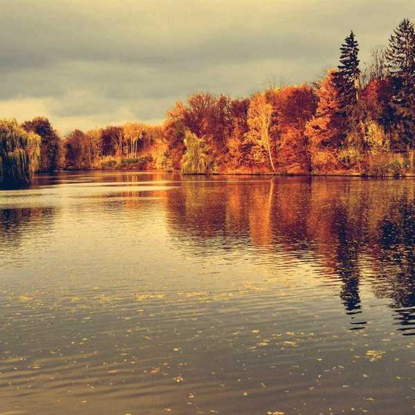 11 Songs To Welcome In Autumn