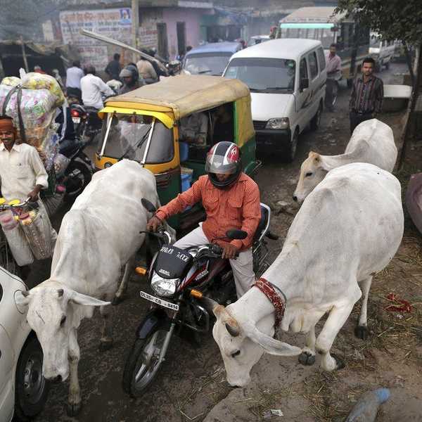 10 Surprising Facts About Life in India