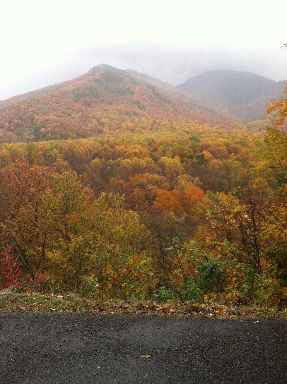Celebrating 100 Years Of National Parks
