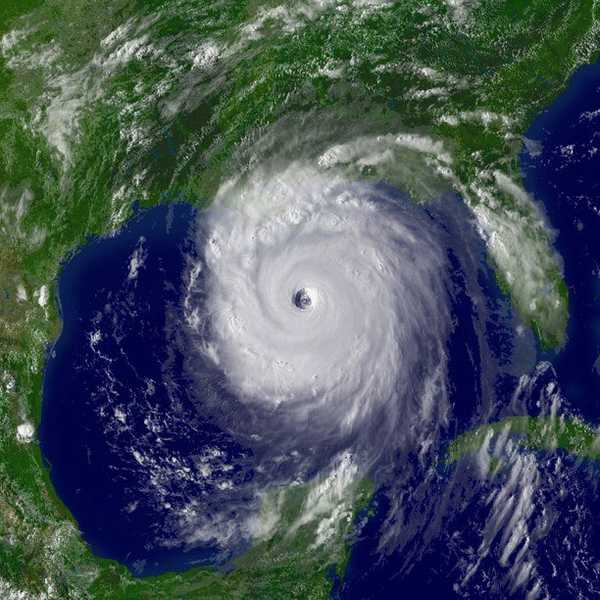 How To Survive a Hurricane College Style