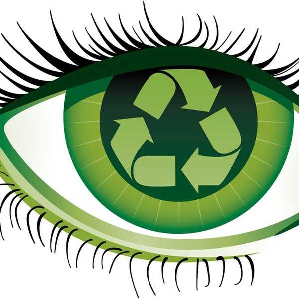 The Importance Of Protecting Our Environment