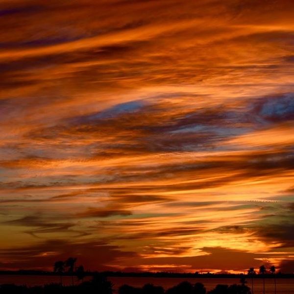 Why I Love The St. Petersburg/Tampa Bay Area