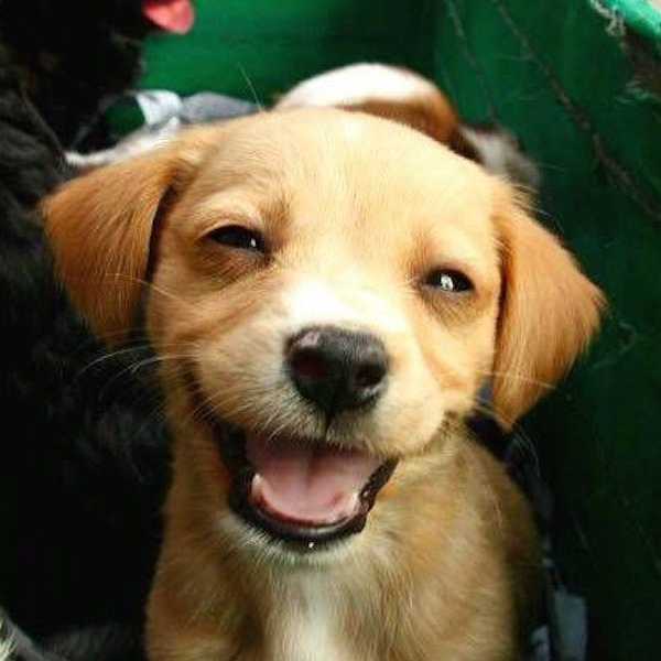 How Thinking Positively Can Change Your Life