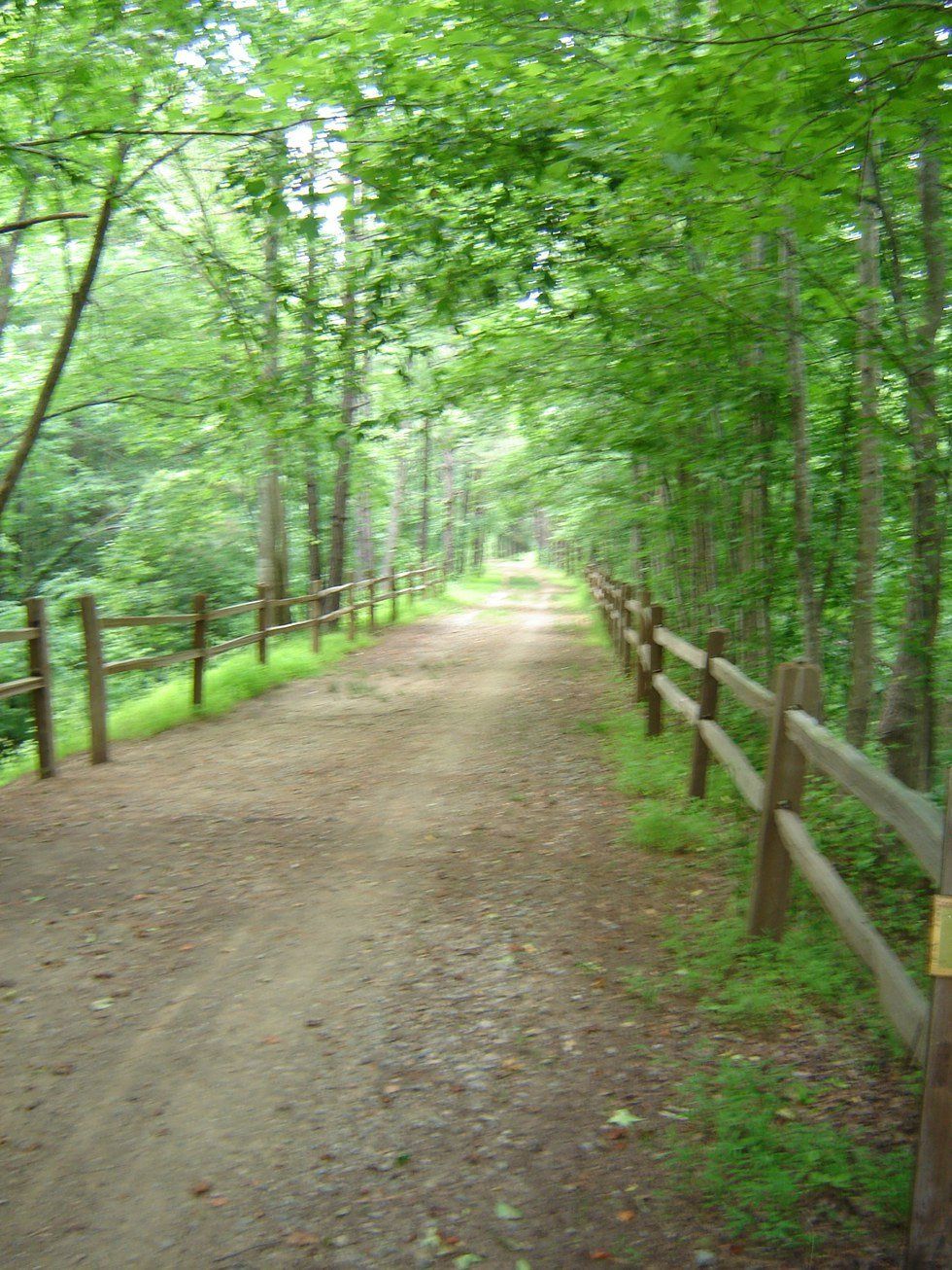 The East Coast Greenway