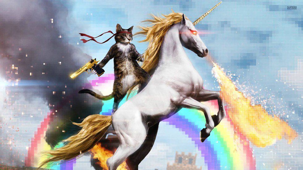 Literally Just A Picture Of A Cat Riding A Unicorn