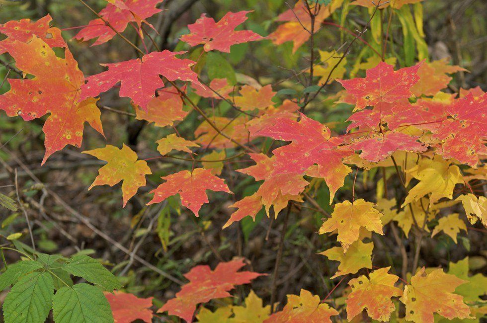 The Crazy Importance Of Self Care