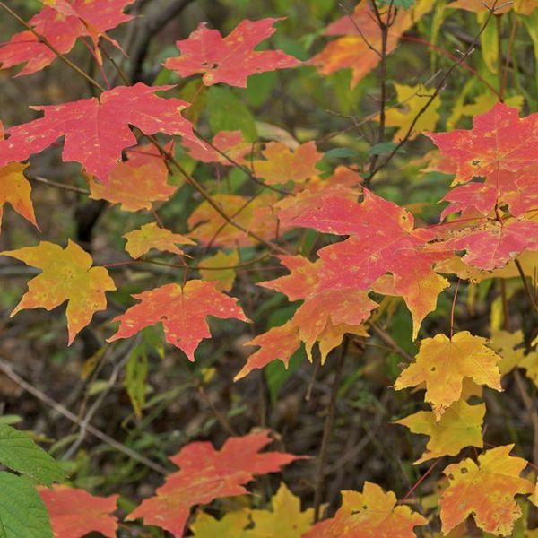 The Crazy Importance Of Self Care