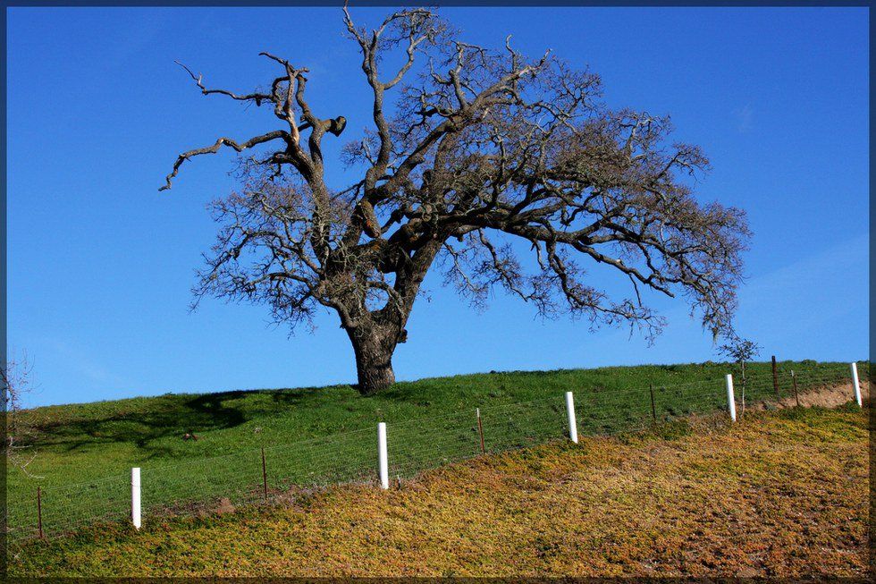 Why You Shouldn't Always Get What You Want