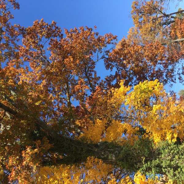 Why Fall Is The Best