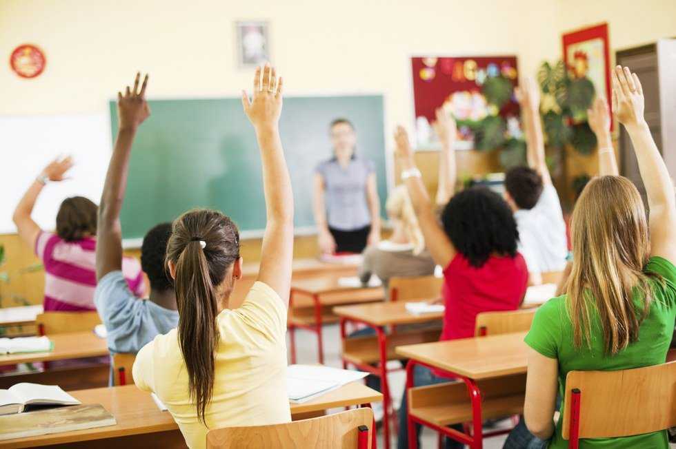 A Tale Of Two Biology Classes And How They've Shaped My Education