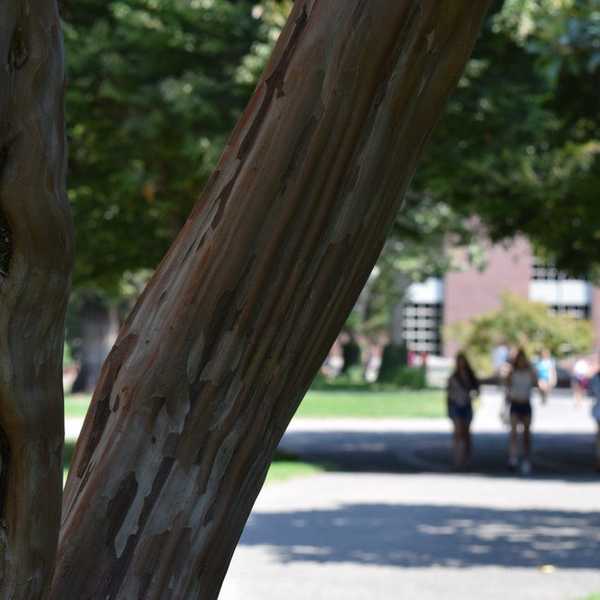 I Am A Right-Leaning College Student, And I Am Wrong