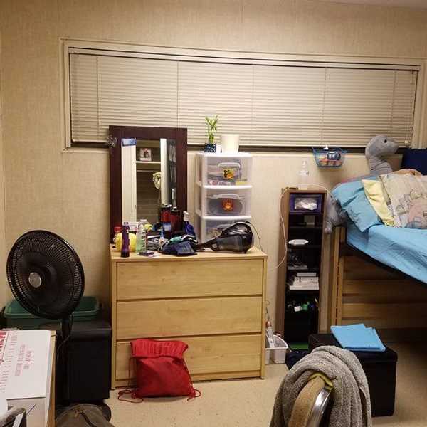 Stresses Of College Move In Day