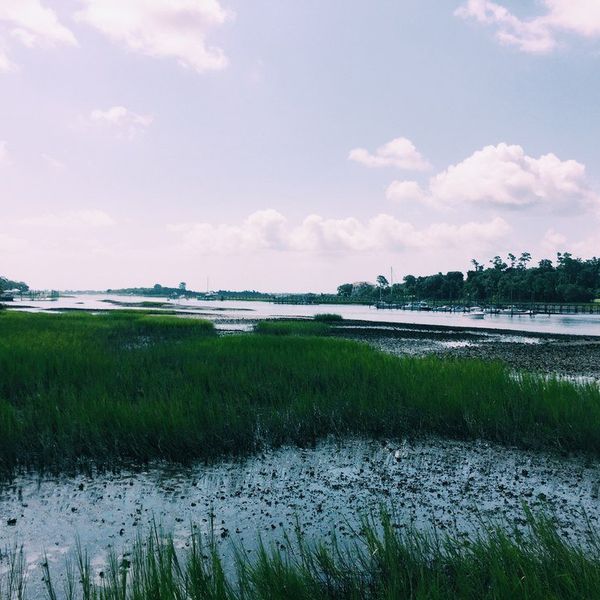 5 Simple Rules For Happiness