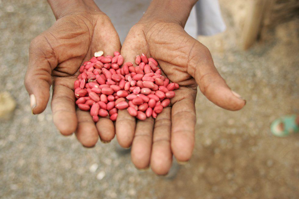 What If We Could Solve World Hunger?