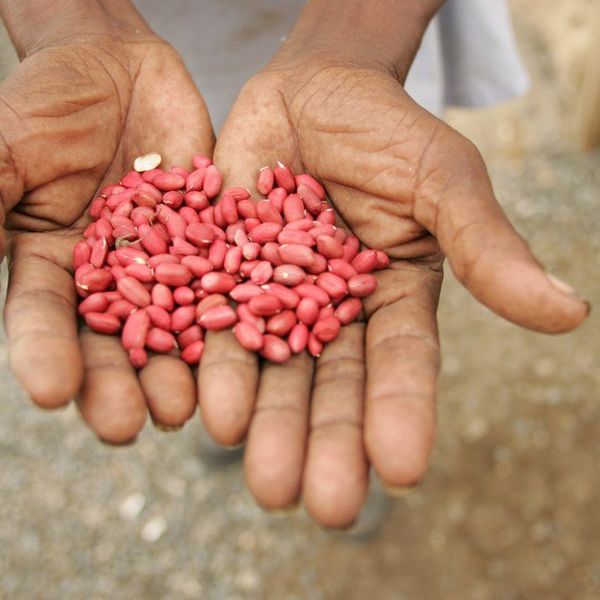 What If We Could Solve World Hunger?