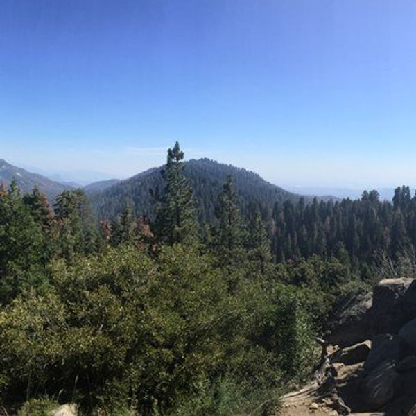 The Mountains Have Changed My Life