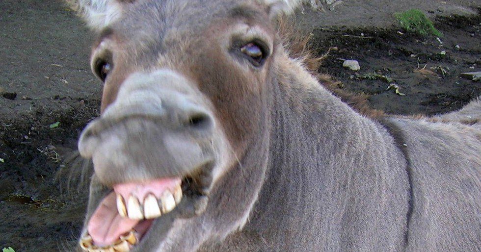 How To Disrespect Your Country 101