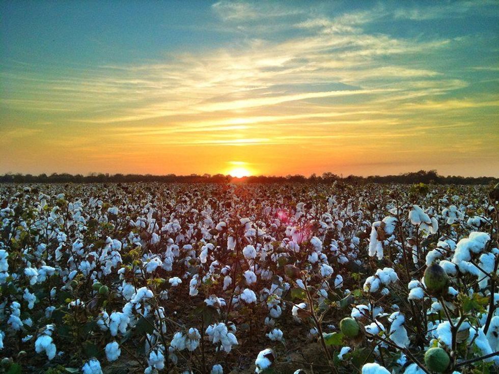 Oh Mississippi Delta, There Is No Place I'd Rather Call Home