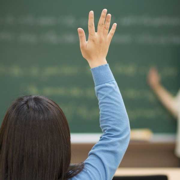 Surviving the Behemoth, Majoring in Education