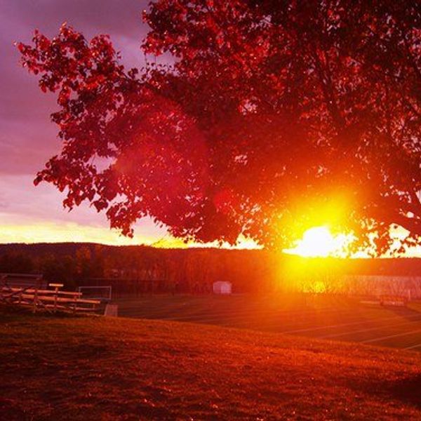 The Secret To Being A Freshman No One Tells You About