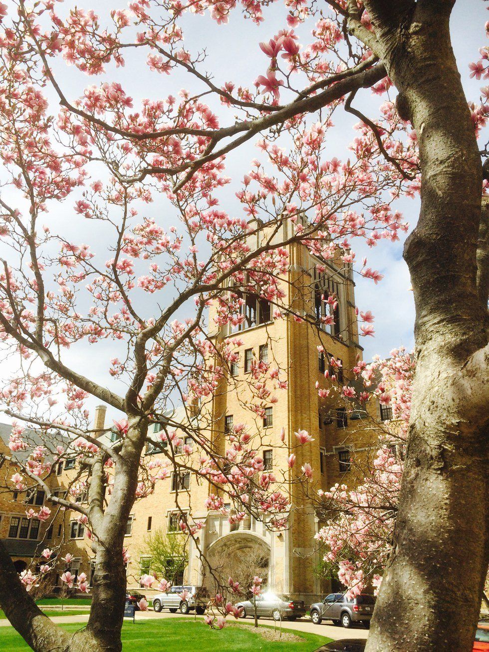 The Problem With Parietals