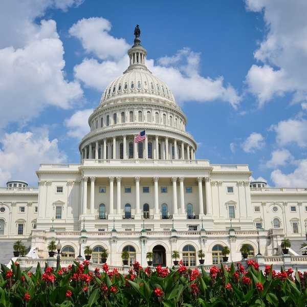 Why I Still Have Faith In The Government