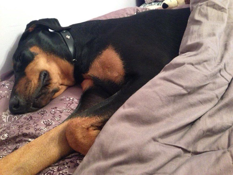 12 Perks of Being a Commuter Student