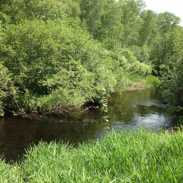 8 Things To Know As A Beginning Hiker