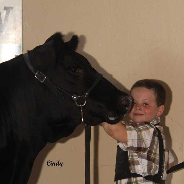 To The Rookie Showman
