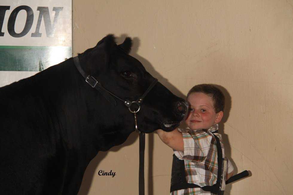 To The Rookie Showman