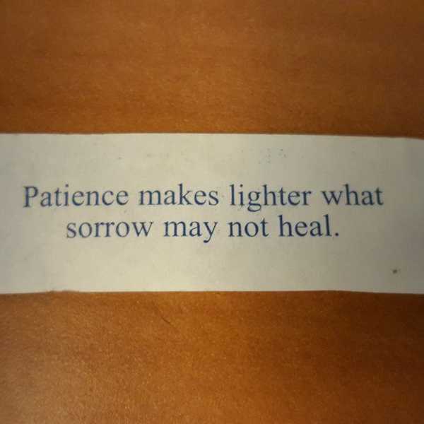 Patience Makes Lighter What Sorrow May Not Heal