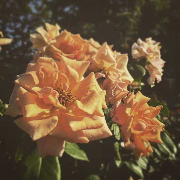 We Are Perfectly Imperfect